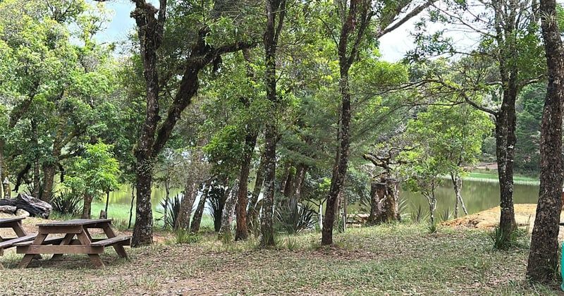 Quel camping calme choisir dans la Drôme en 2026 : ce qu'on obtient pour son argent