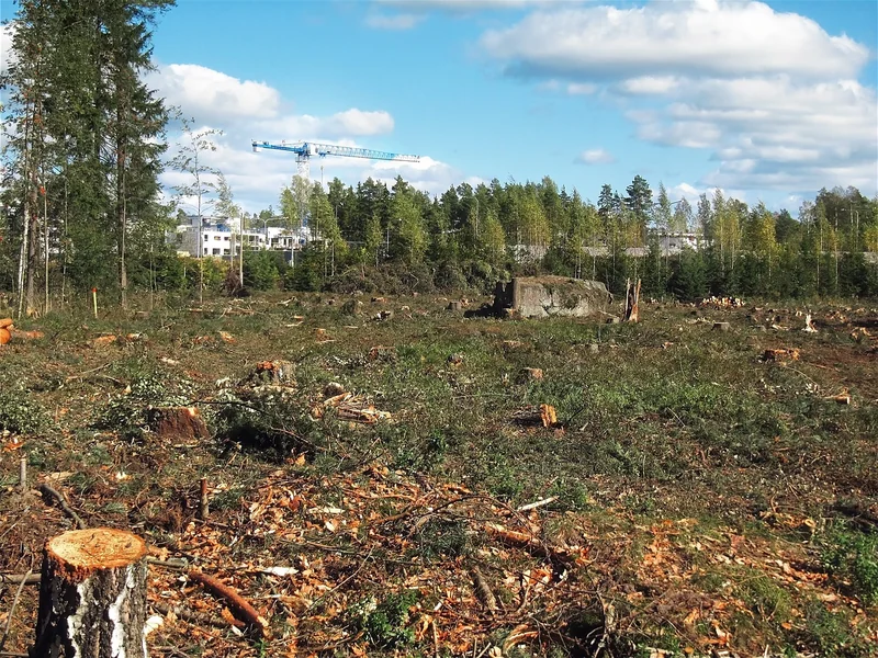 Impact environnemental